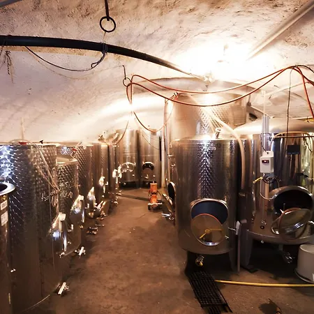 Weingut Geiger דירה *