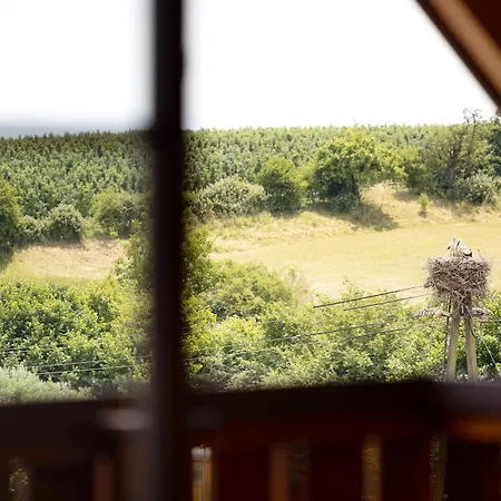 Weingut Geiger