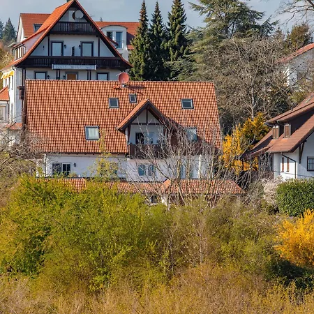 Weingut Geiger * מיירסבורג