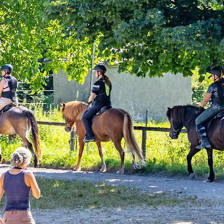 דירה Weingut Geiger