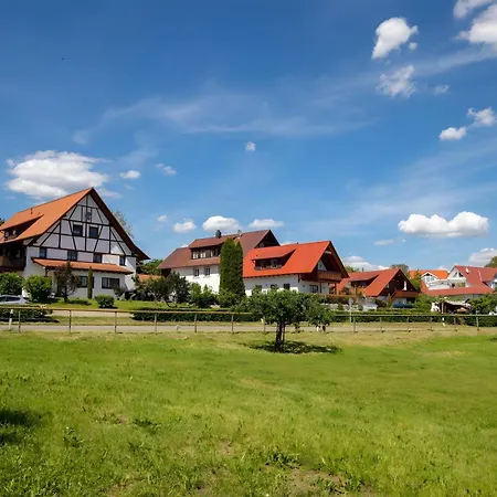 Weingut Geiger Apartment