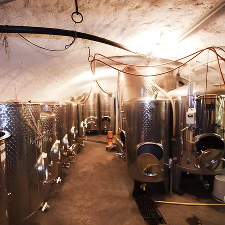 Weingut Geiger Meersburg