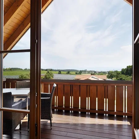 Apartment Weingut Geiger
