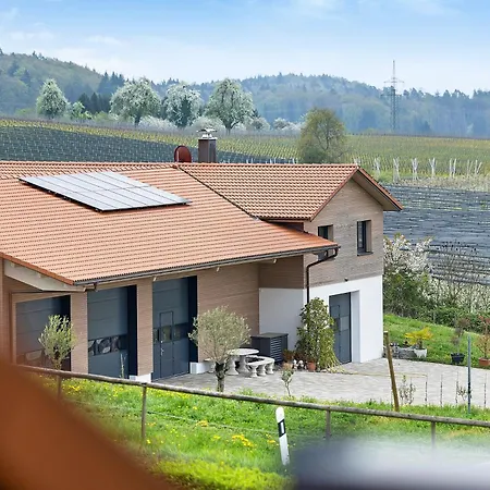 Weingut Geiger Apartment *