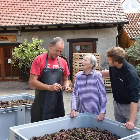 Weingut Geiger شقة ميرسبرغ