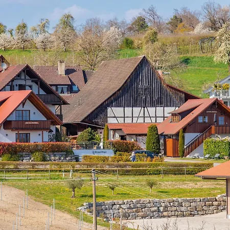 Weingut Geiger * ميرسبرغ