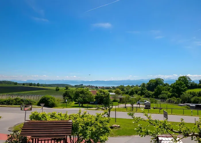 Weingut Geiger Meersburg