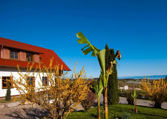 Appartement Weingut Geiger Meersburg